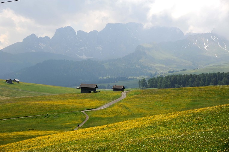 (Alpe